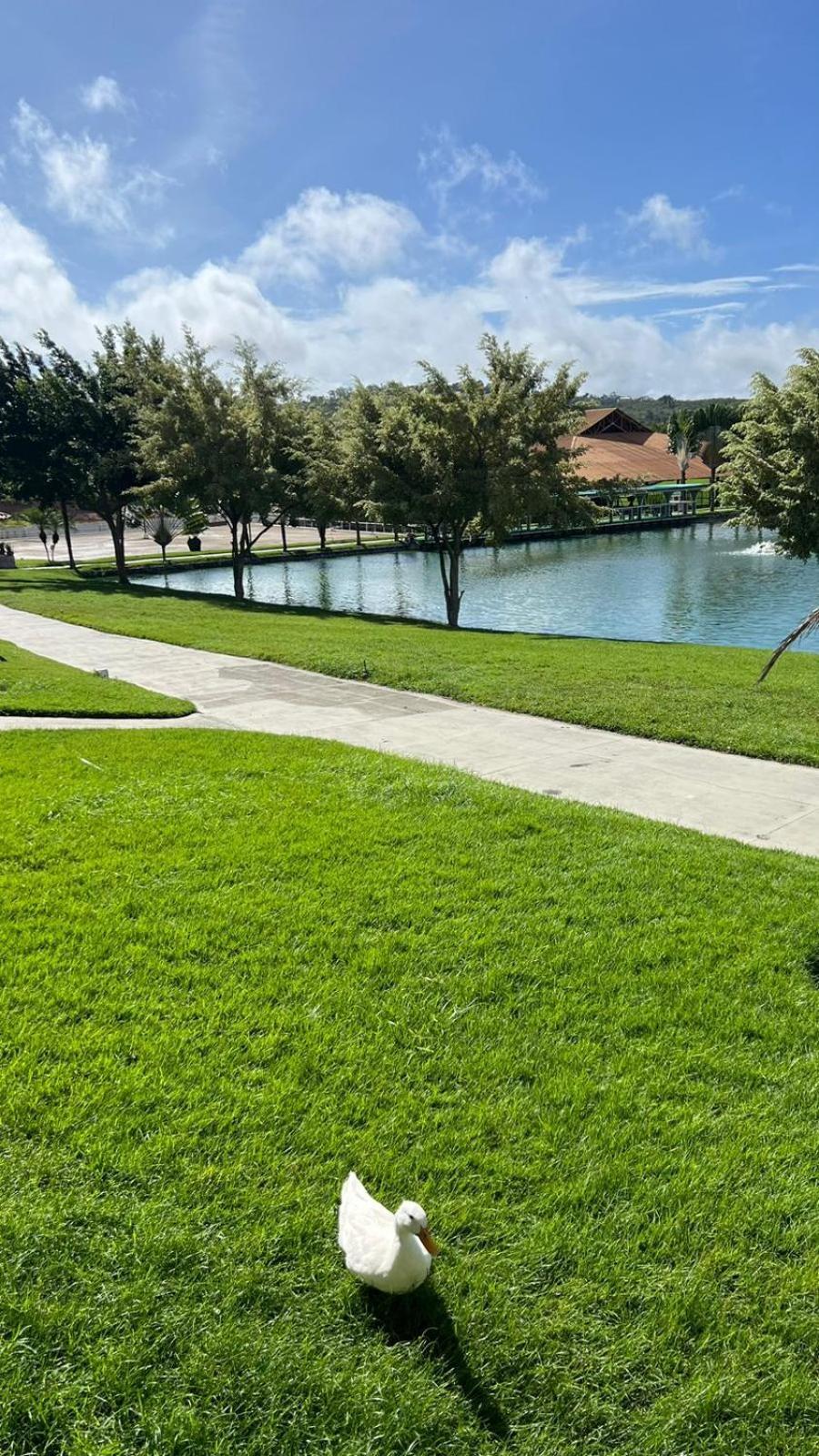Flat Fabuloso 808 Villa Hipica グラヴァター エクステリア 写真